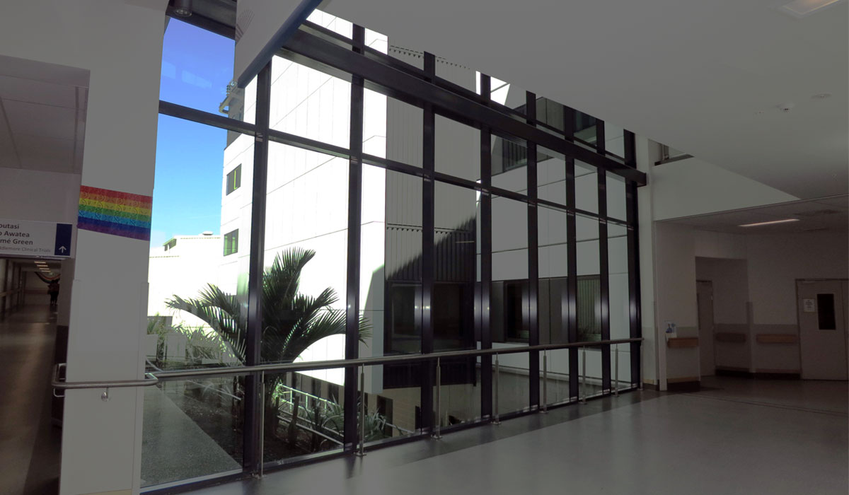 Middlemore Hospital 04