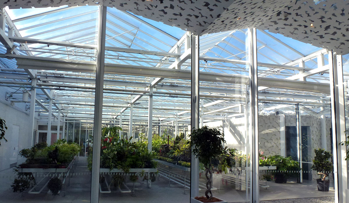 Christchurch Botanic Gardens 05