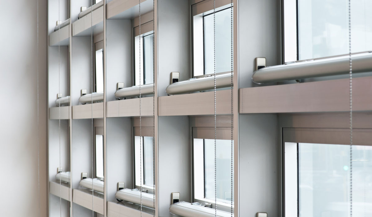 BNZ F1 F2 Harbourquays 09