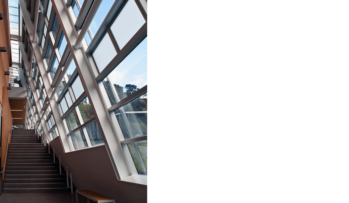 Zealandia Karori 1 05