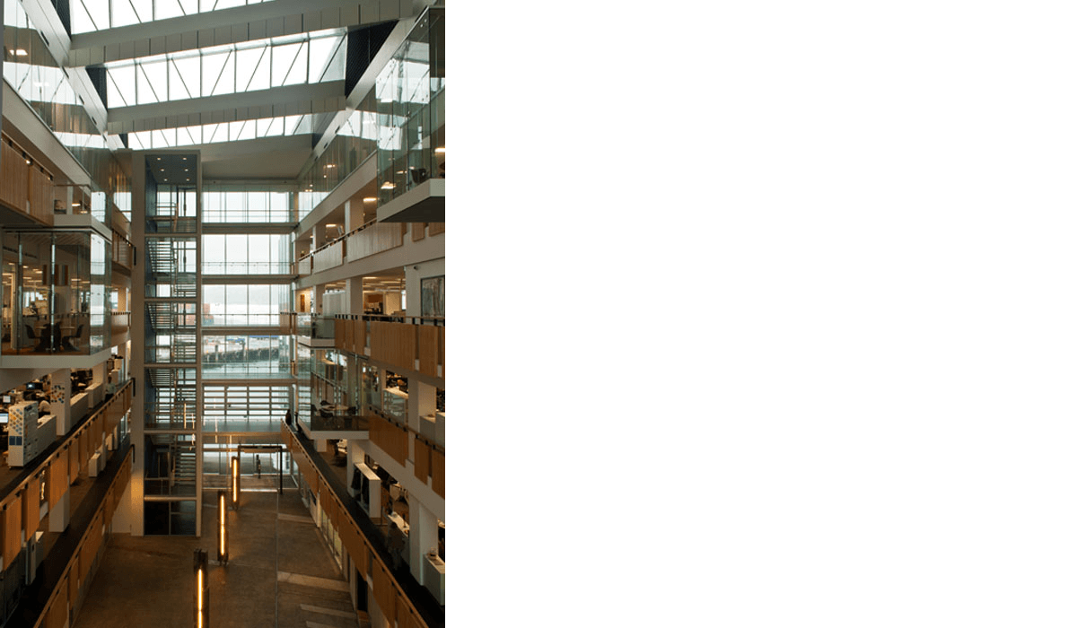 BNZ F1 F2 Harbourquays 1 011