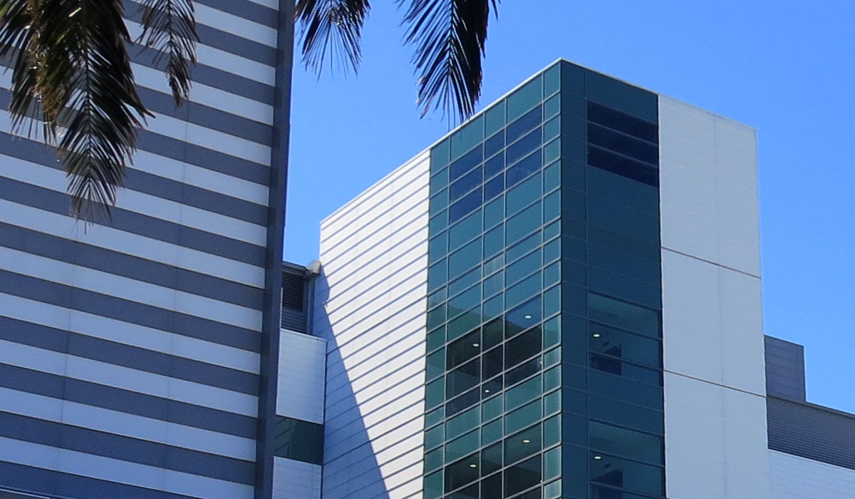 Wellington Hospital 04