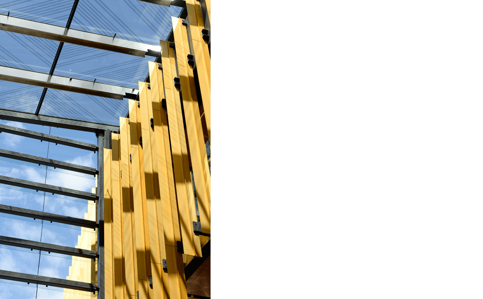 Commercial Bay Podium 16