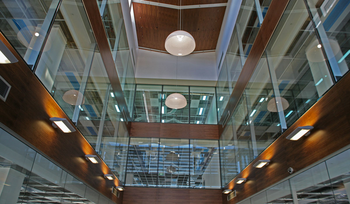 Napier Street 06 (1)