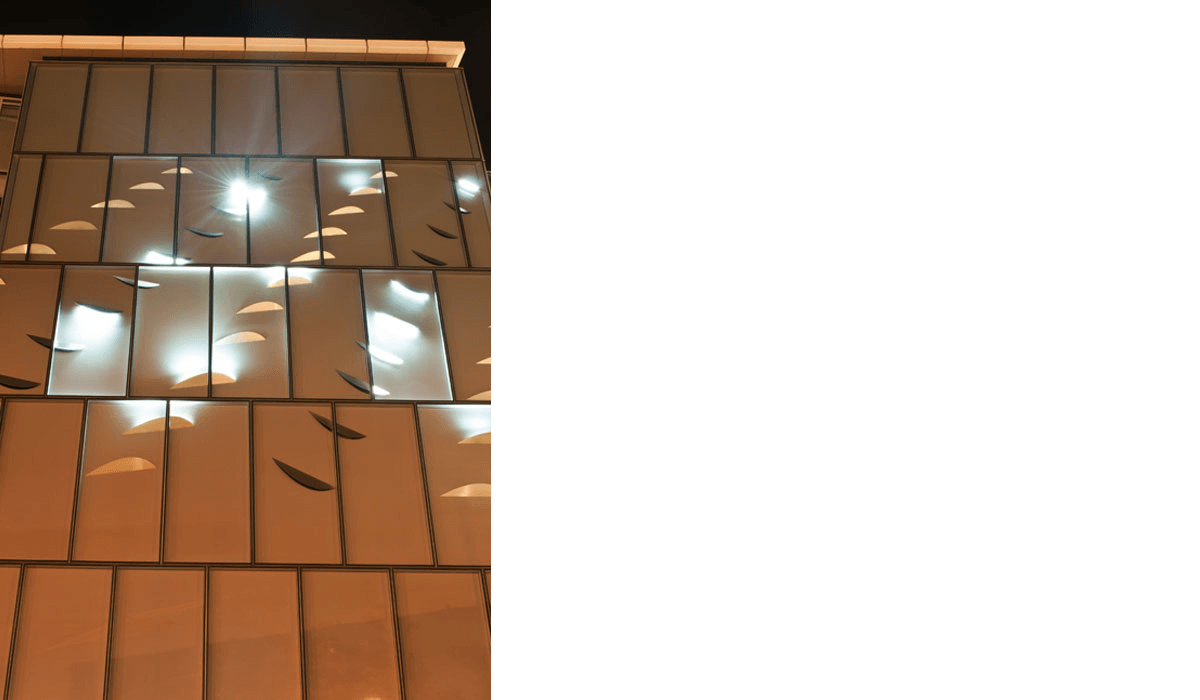 BNZ F1 F2 Harbourquays 1 013