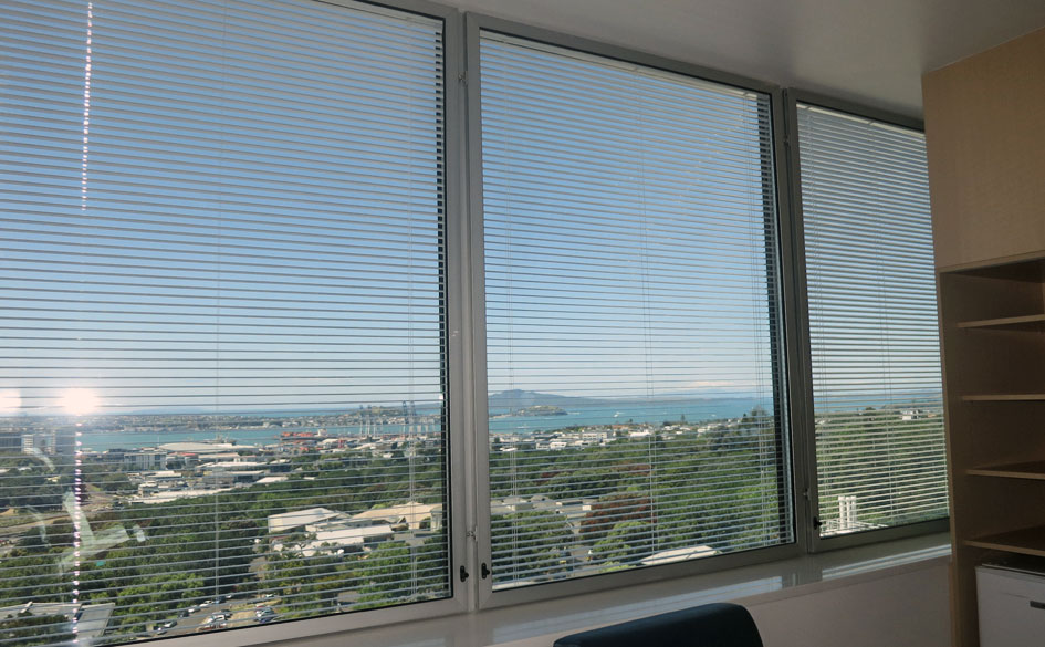 ADHB Haematology Lvl 11 01