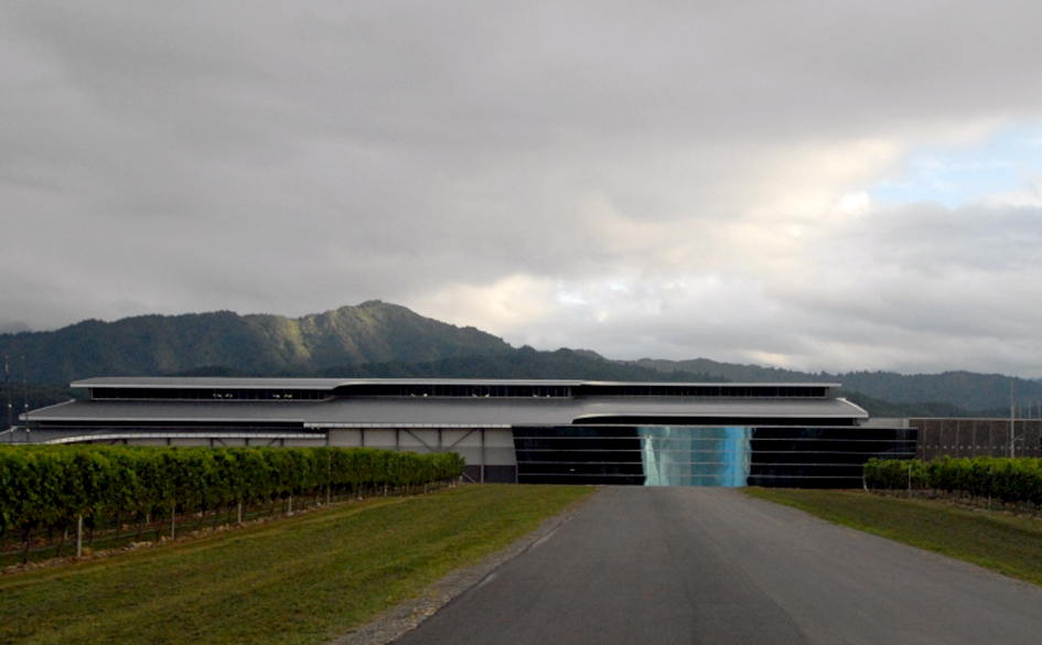 Delegat Vineyard Blenheim 01