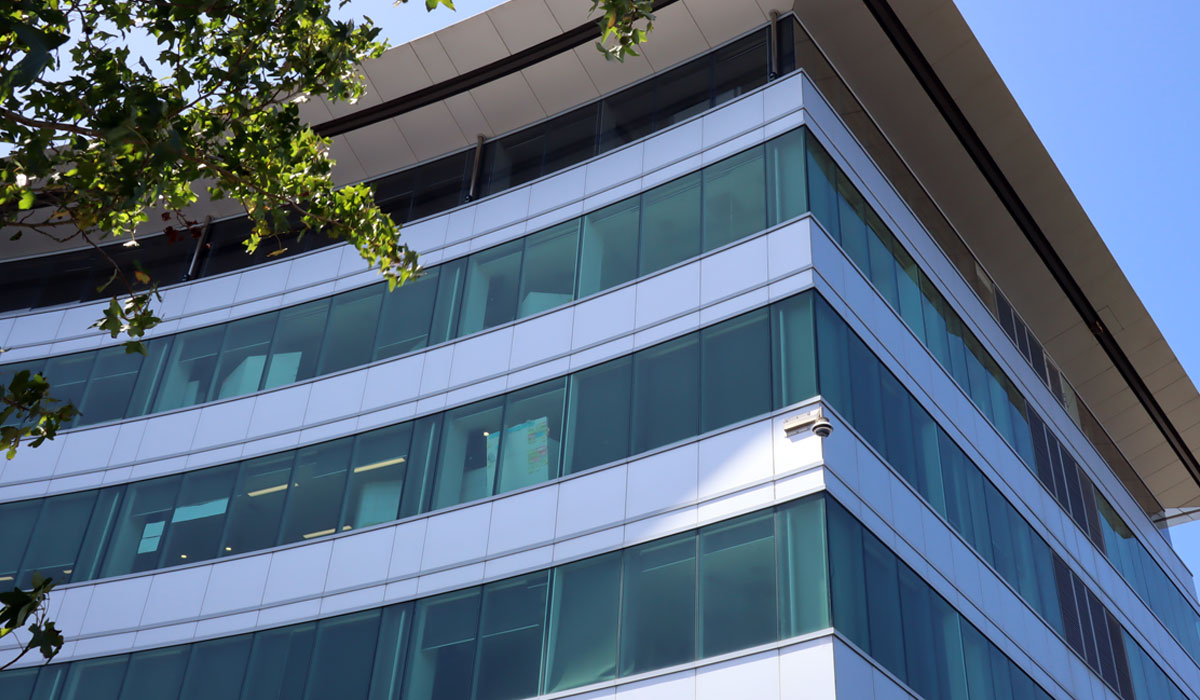 Telstra Clear Smales Farm 11