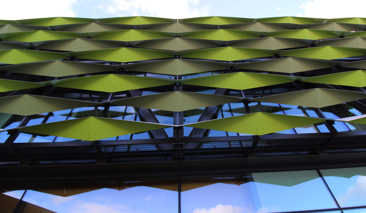 Zespri HQ Manganui 06